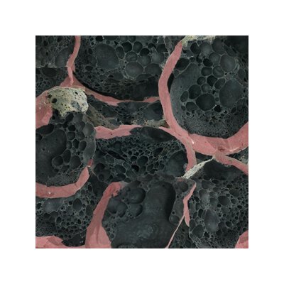 CHENAUX, ERIC - SAY LAURA - CD