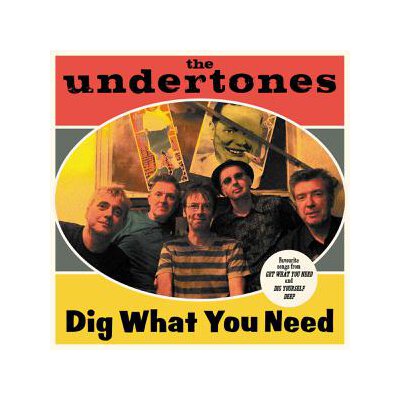 UNDERTONES, THE - DIG WHAT YOU NEED (BEST OF 2003-2007) - LP