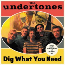 UNDERTONES, THE - DIG WHAT YOU NEED (BEST OF 2003-2007) - LP