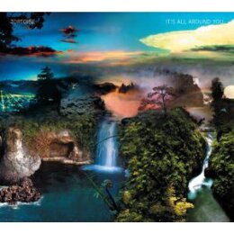 TORTOISE - ITS ALL AROUND YOU (YELLOW VINYL) - LPD