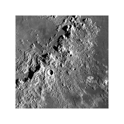 DUSTER - CAPSULE LOSING CONTACT - CD