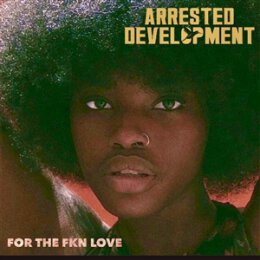ARRESTED DEVELOPMENT - FOR THE FKN LOVE - LP