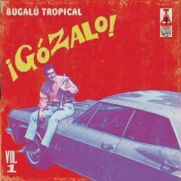 VARIOUS - GOZALO! VOL.1 - LP