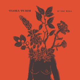 PURIM, FLORA - IF YOU WILL (CLEAR VINYL) - LP