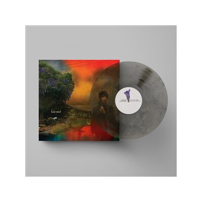 VAN ETTEN, SHARON - WEVE BEEN GOING ABOUT THIS ALL WRONG -LTD. COL. VINYL- - LP