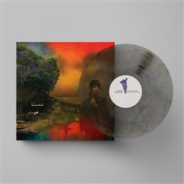 VAN ETTEN, SHARON - WEVE BEEN GOING ABOUT THIS ALL WRONG...