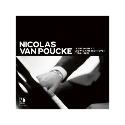 VAN POUCKE, NICOLAS - IN THE MOMENT - LP