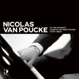 VAN POUCKE, NICOLAS - IN THE MOMENT - LP