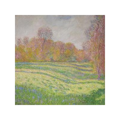 STRAWBERRY GUY - SUN OUTSIDE MY WINDOW - CD