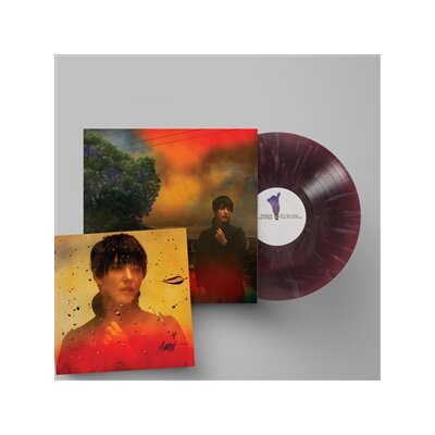 VAN ETTEN, SHARON - WEVE BEEN GOING ... -SIGNED ARTPRINT BUNDLE- - LP