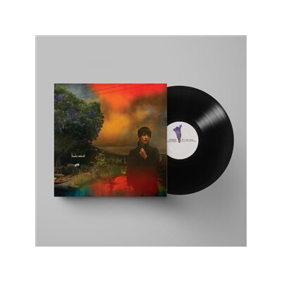 VAN ETTEN, SHARON - WEVE BEEN GOING ABOUT THIS ALL WRONG - LP