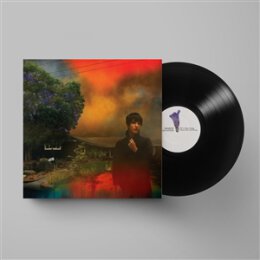 VAN ETTEN, SHARON - WEVE BEEN GOING ABOUT THIS ALL WRONG...