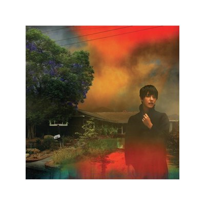 VAN ETTEN, SHARON - WEVE BEEN GOING ABOUT THIS ALL WRONG - CD