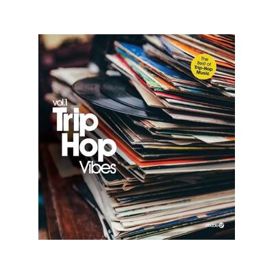 VARIOUS - TRIP HOP VIBES 01 - LP