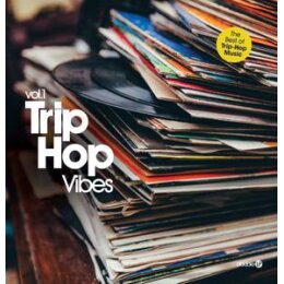 VARIOUS - TRIP HOP VIBES 01 - LP