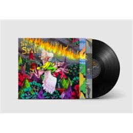 BUILT TO SPILL - WHEN THE WIND FORGETS YOUR NAME - LP