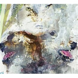 THESE ARMS ARE SNAKES - TAIL SWALLOWER AND DOVE (ORANGE...