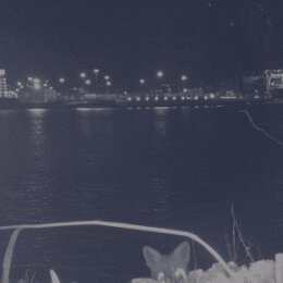 FUCHS - FUCHS (LTD EDITION) - LPD