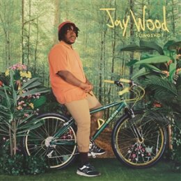 JAYWOOD - SLINGSHOT - CD