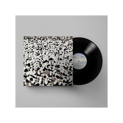 DONNELLY, STELLA - FLOOD - LP