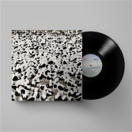 DONNELLY, STELLA - FLOOD - LP