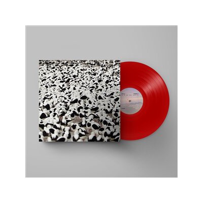 DONNELLY, STELLA - FLOOD -LTD. RED VINYL- - LP
