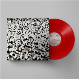 DONNELLY, STELLA - FLOOD -LTD. RED VINYL- - LP
