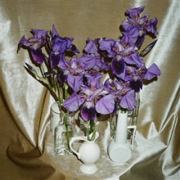 DIVES - WANNA TAKE YOU THERE - CD