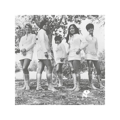 FEMALE SPECIES - TALE OF MY LOST LOVE (MOONSHINE VINYL) - LP
