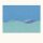 FLORE LAURENTIENNE - VOLUME II (LTD. BLUE VINYL) - LP