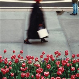 AIR WAVES - THE DANCE - LP