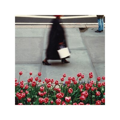 AIR WAVES - THE DANCE - CD