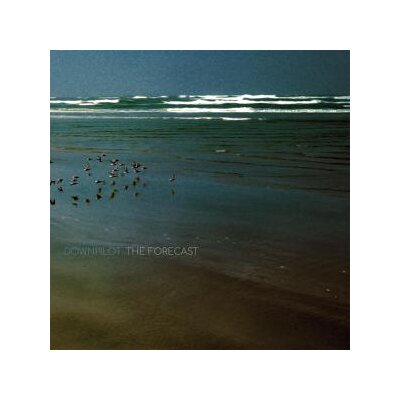 DOWNPILOT - THE FORECAST - CD