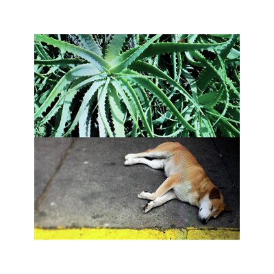 BATES, STEVE - ALL THE THINGS THAT HAPPEN - CD