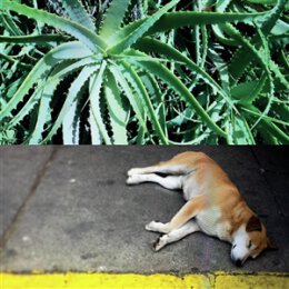 BATES, STEVE - ALL THE THINGS THAT HAPPEN - CD