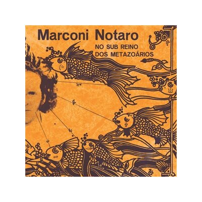 NOTARO, MARCONI - NO SUB REINO DOS METAZOARIOS - LP