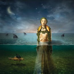 BLED, THE - FOUND IN THE FLOOD - LP