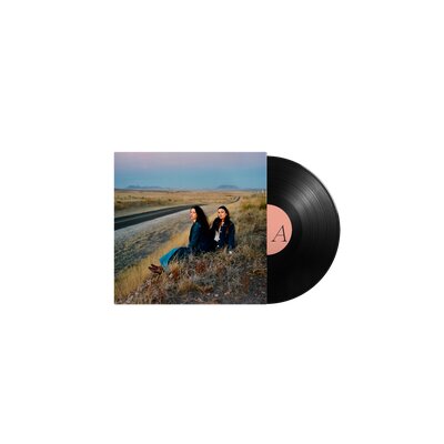 PLAINS - I WALKED WITH YOU A WAYS - LP