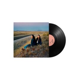 PLAINS - I WALKED WITH YOU A WAYS - LP