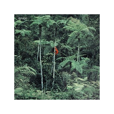 SPICE - SPICE (LTD. OPAQUE GREY VINYL) - LP