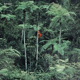 SPICE - SPICE (LTD. OPAQUE GREY VINYL) - LP