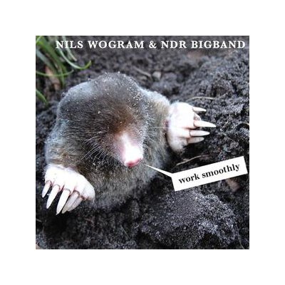 WOGRAM, NILS & NDR BIGBAND - WORK SMOOTHLY - CD