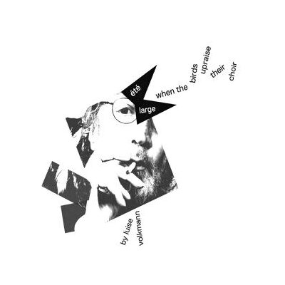 VOLKMANN, LUISE / ETE LARGE - WHEN THE BIRDS UPRAISE THEIR CHOIR - CD