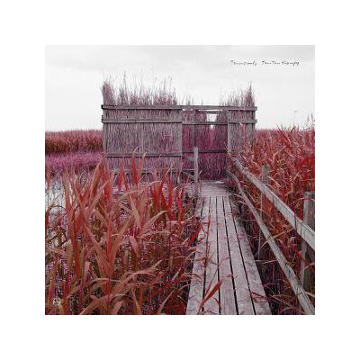 TENNISCOATS - TAN-TAN THERAPY (REMASTERED) - CD