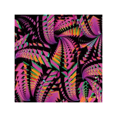 BITCHIN BAJAS - BAJASCILLATORS - LP