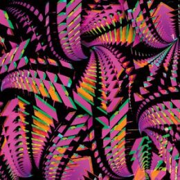 BITCHIN BAJAS - BAJASCILLATORS - LP