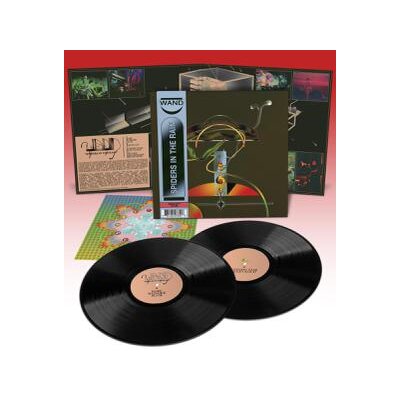 WAND - SPIDERS IN THE RAIN - LP