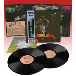 WAND - SPIDERS IN THE RAIN - LP
