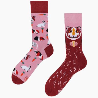 Many Mornings Socks - Miss Guinea Pig - Socken 39-42