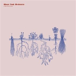 GHOST FUNK ORCHESTRA - A NEW KIND OF LOVE - CD